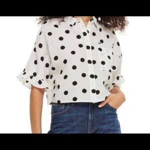 Topshop Polka Dot Linen Button Down Cropped Top